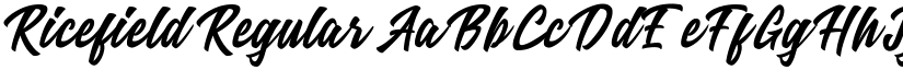 Ricefield Regular font