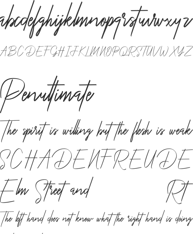 YoungSignature font preview