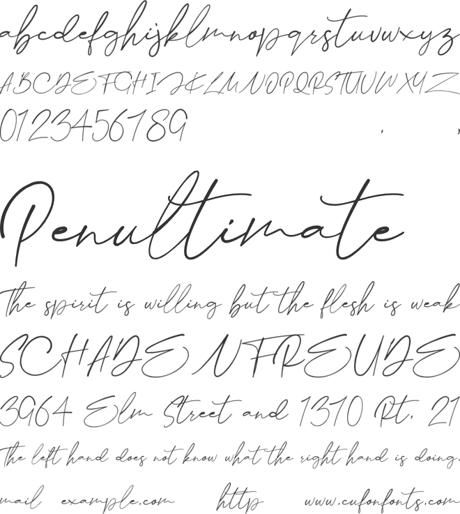 Collega font preview