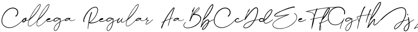Collega font download