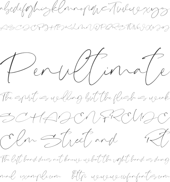 Signeritta font preview