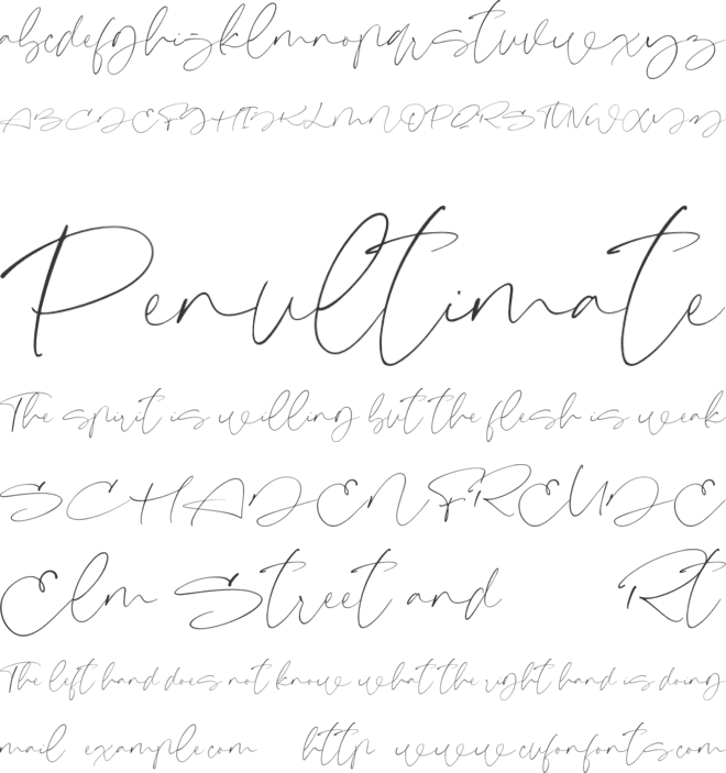 Signeritta font preview