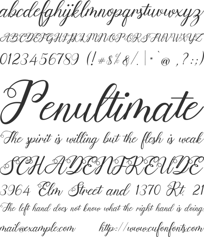 Anjelina Modern Calligraphy font preview