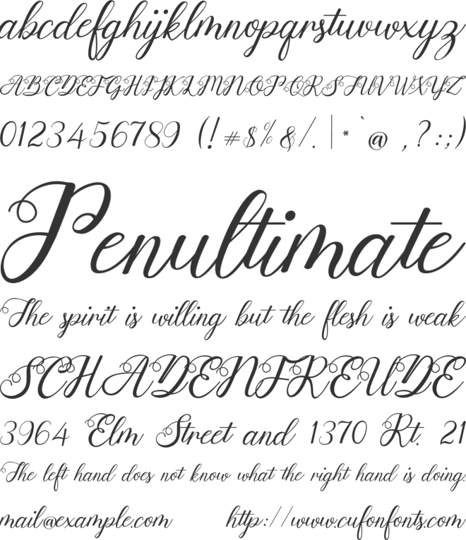 Anjelina Modern Calligraphy font preview