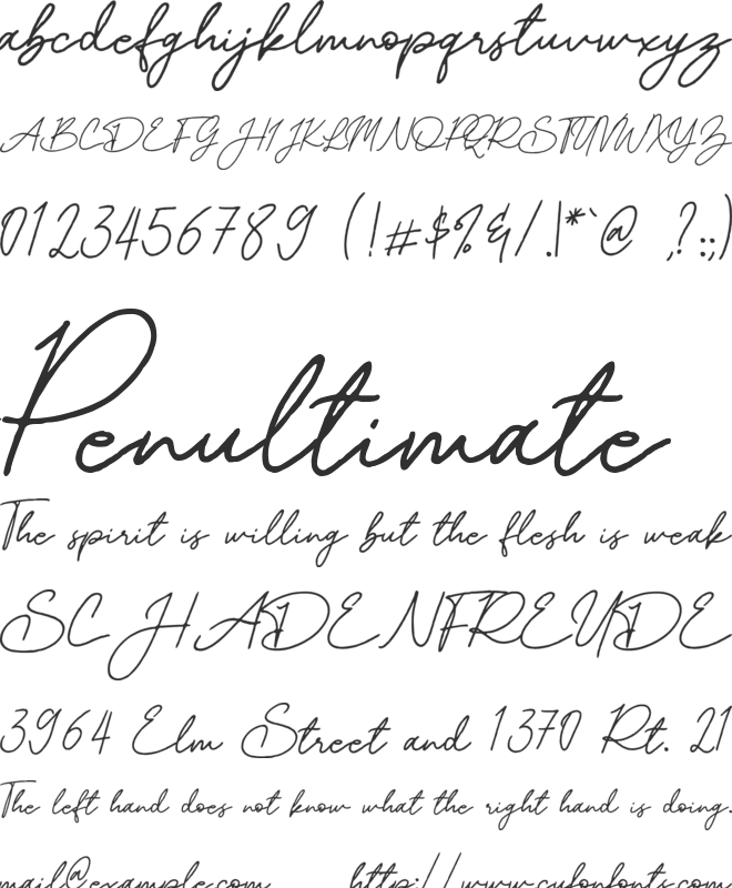 Mereoleona Script font preview