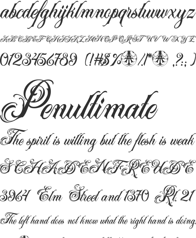 Acuentre Personal Use Only font preview