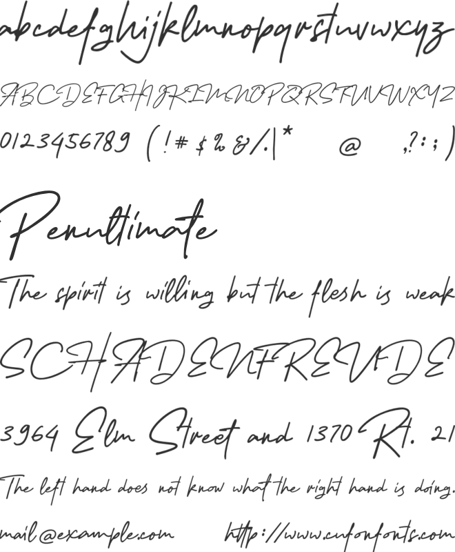 Melanic Black Script font preview