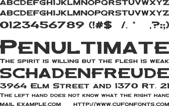 Denver Broncos Custom font preview