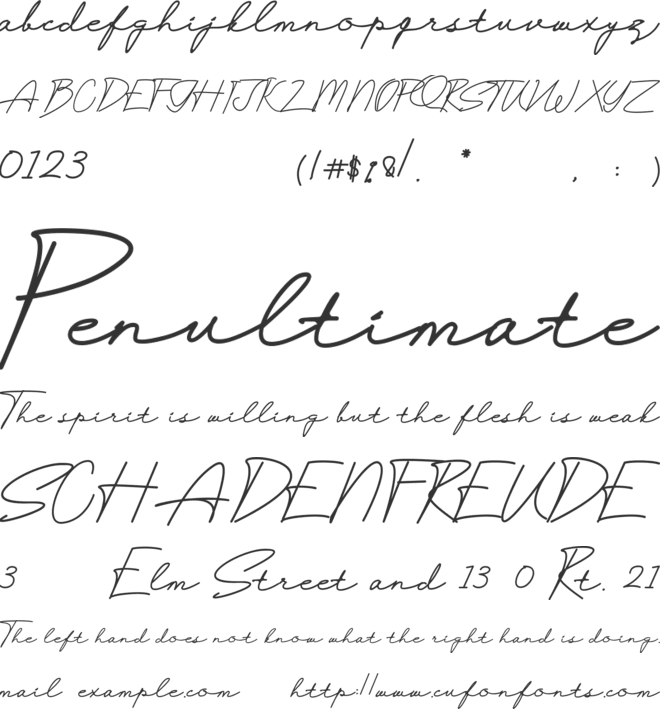 Selfiana Tre font preview