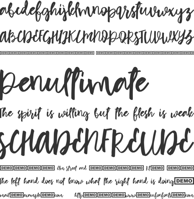 Patrik font preview