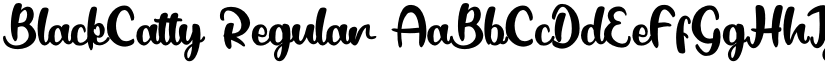 BlackCatty Regular font