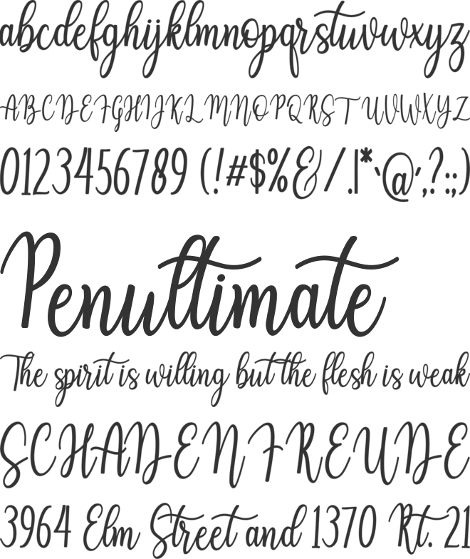 Auristela font preview
