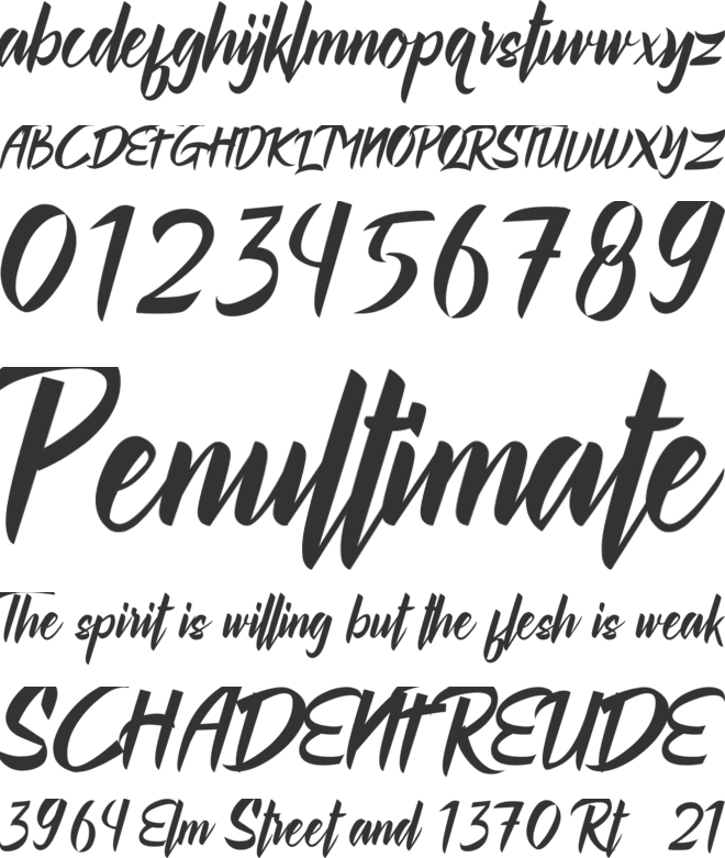 Rollingdore font preview
