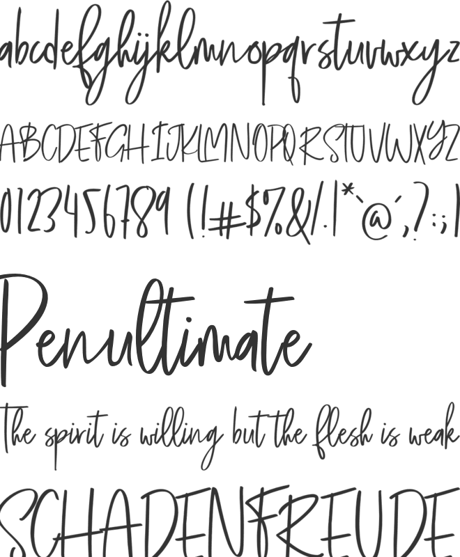 tiara wiliams font preview