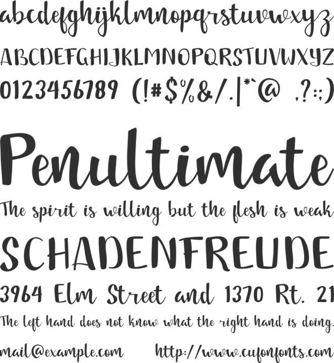 jandle font preview