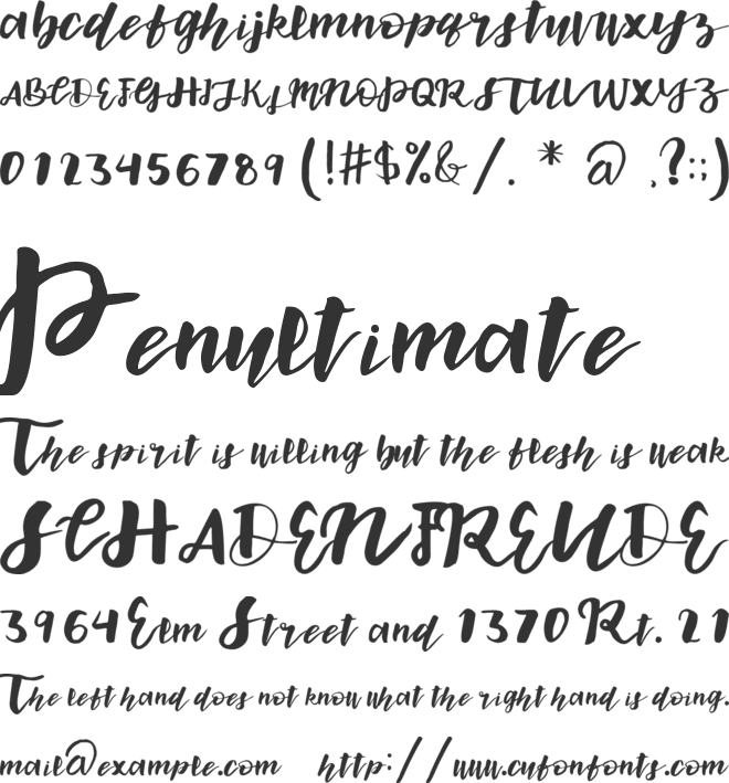 endorse font preview