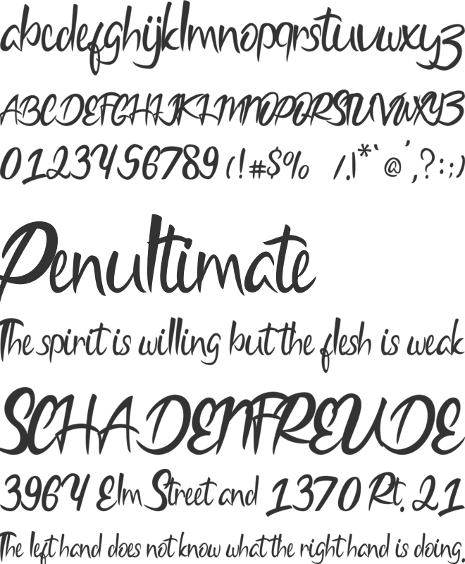 Bodytrack font preview