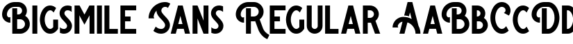 Bigsmile Sans Regular font