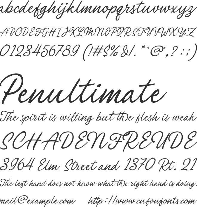 Philomena Script font preview