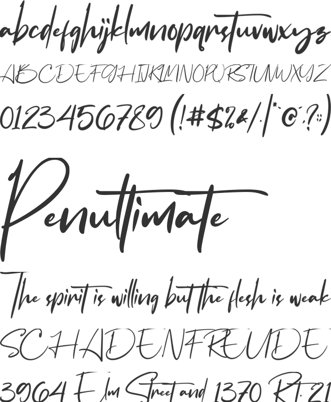 Flavellya font preview