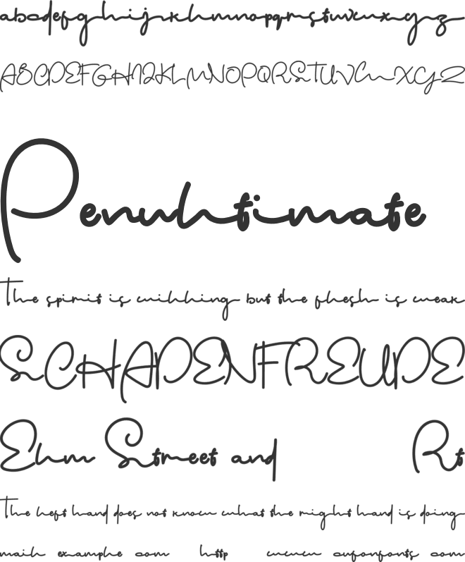 The Wonder font preview