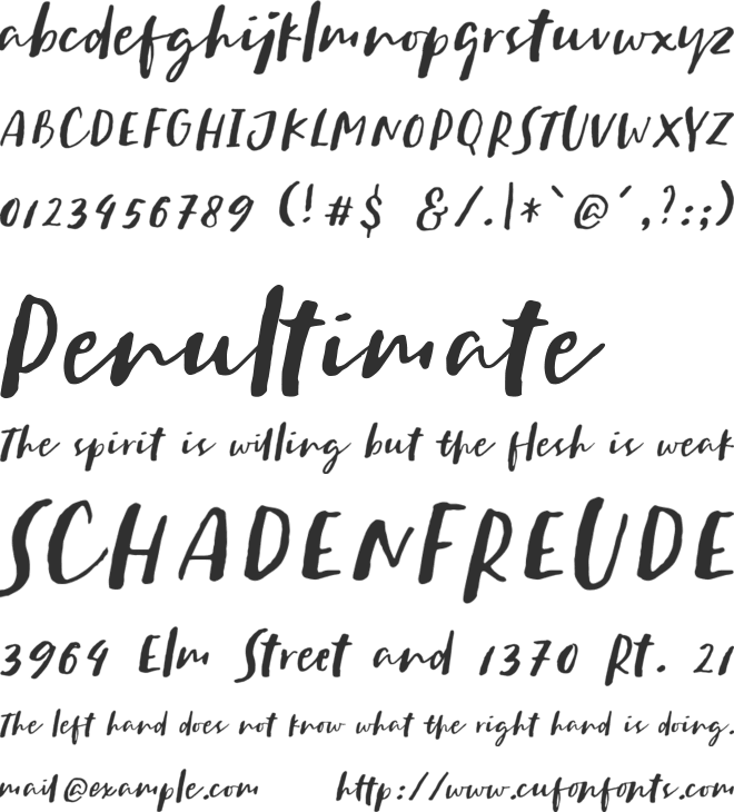 Sachie Script font preview