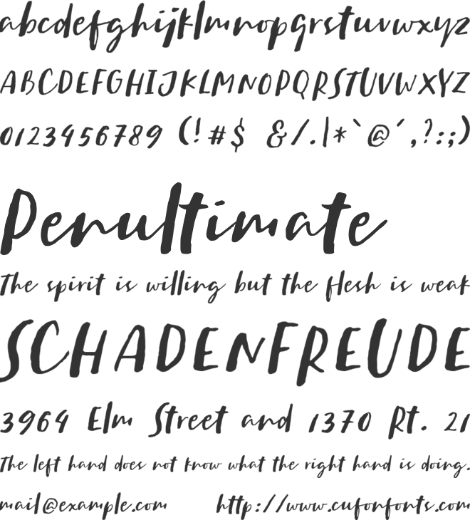 Sachie Script font preview