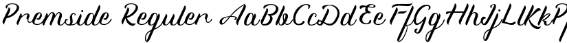 Premside Reguler font
