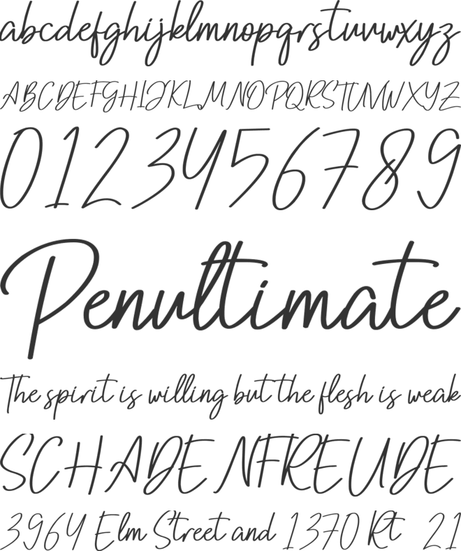 Nottingham font preview