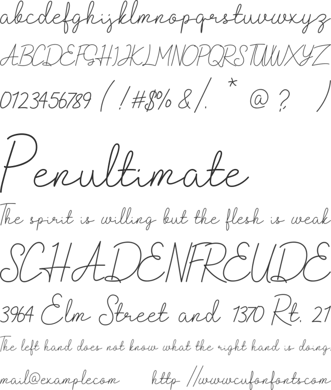 raymond font preview