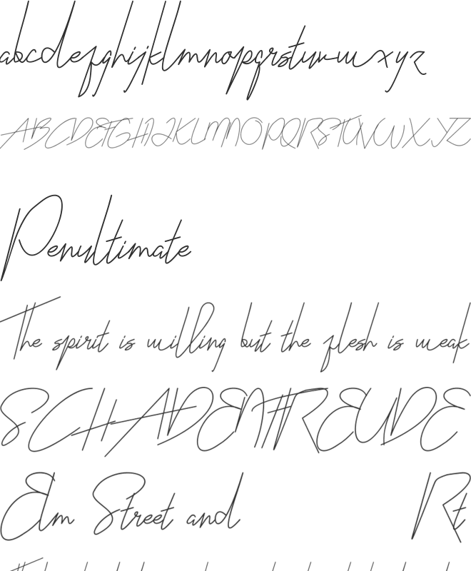 Katty Signature font preview