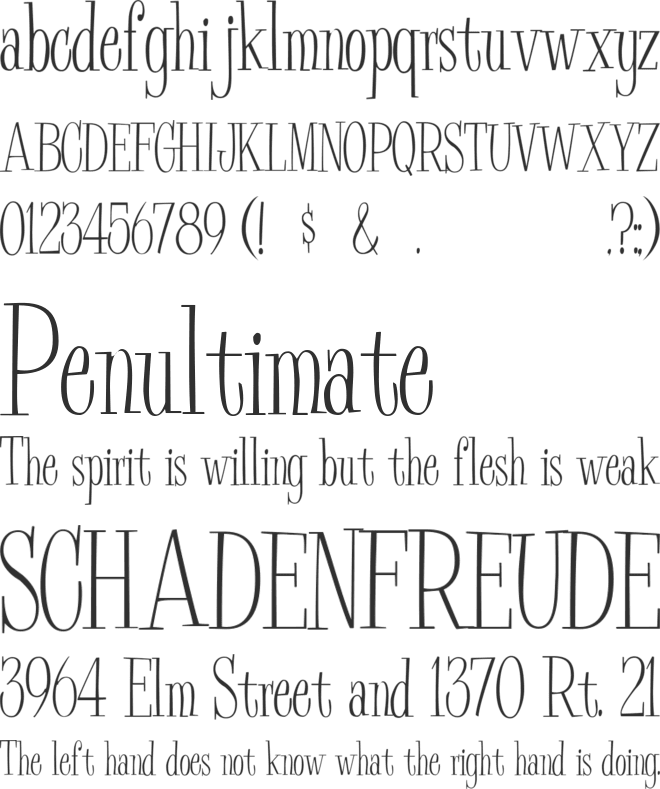 BudEasy font preview