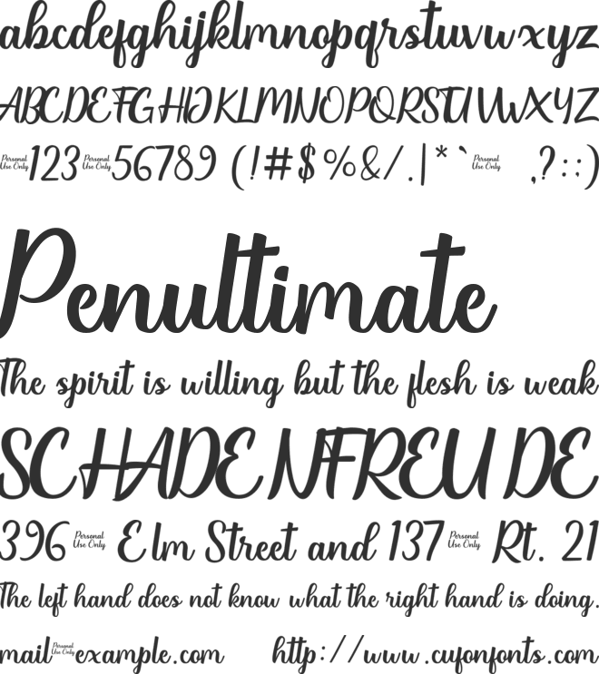 Ridhas font preview