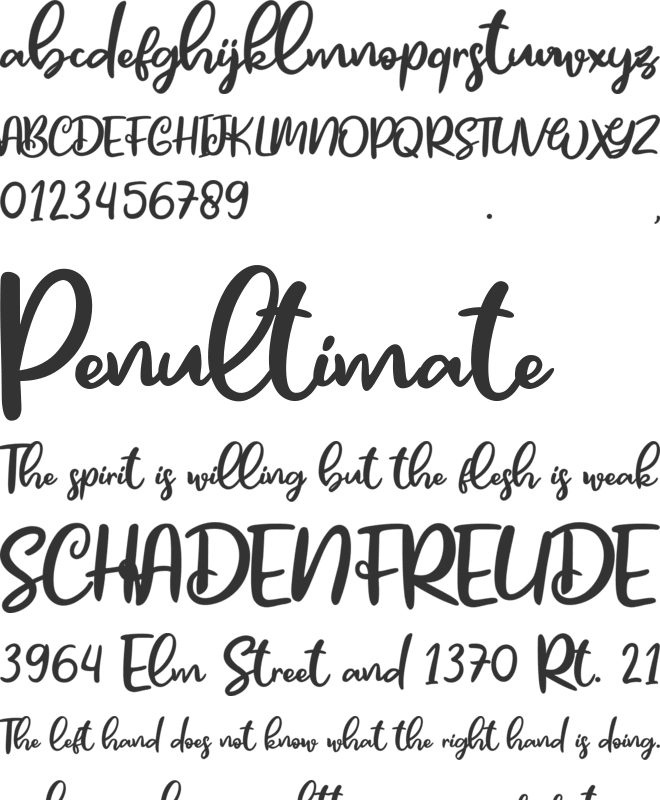 Bristle font preview