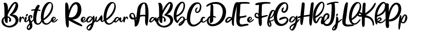 Bristle Regular font