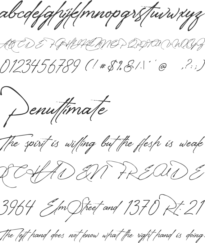 Manchester Signature font preview