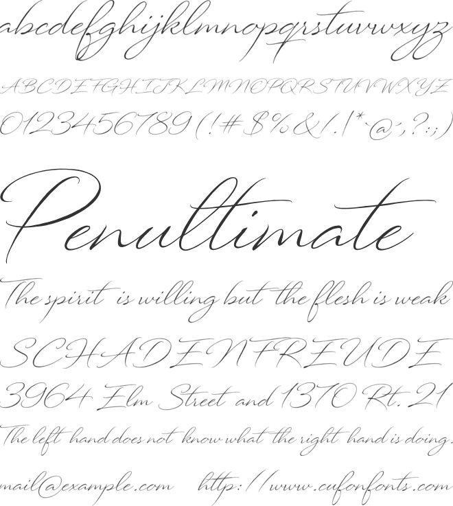 North Wave font preview