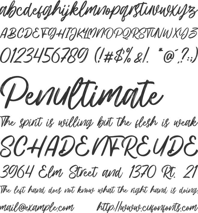 Hillbear font preview