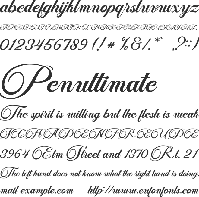 Download Free Fisha Script Font Download Free For Desktop Webfont Fonts Typography