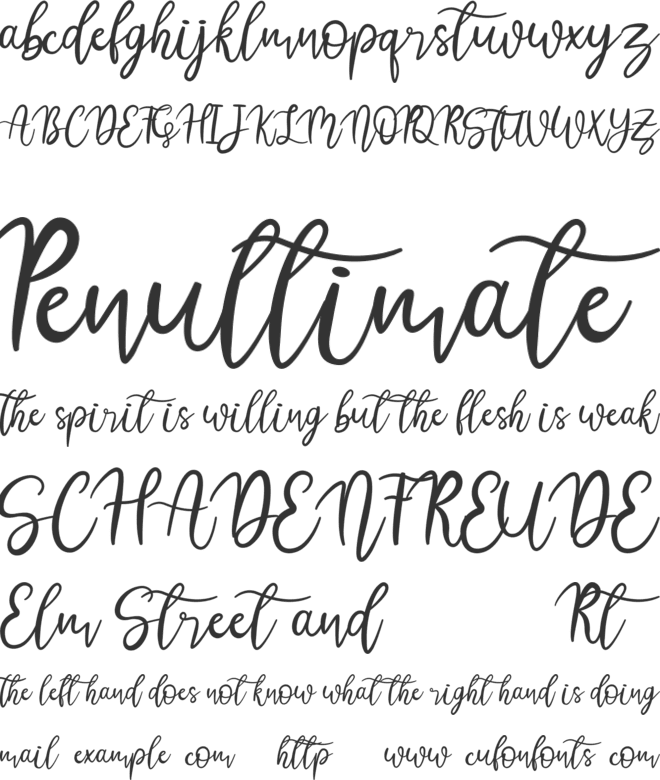 Austina font preview