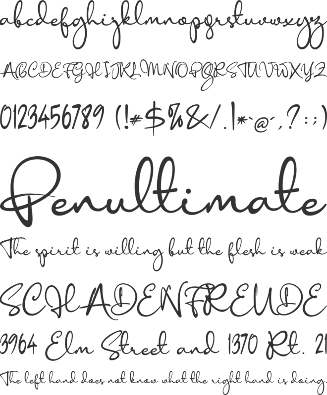 Anisha font preview