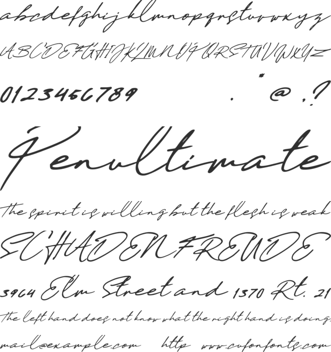 Daniels Signature font preview