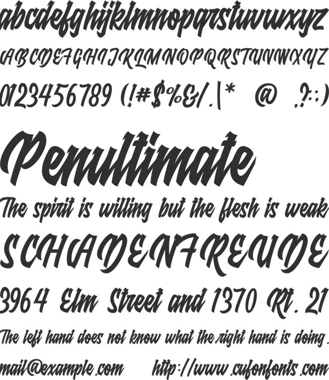 Raydric font preview