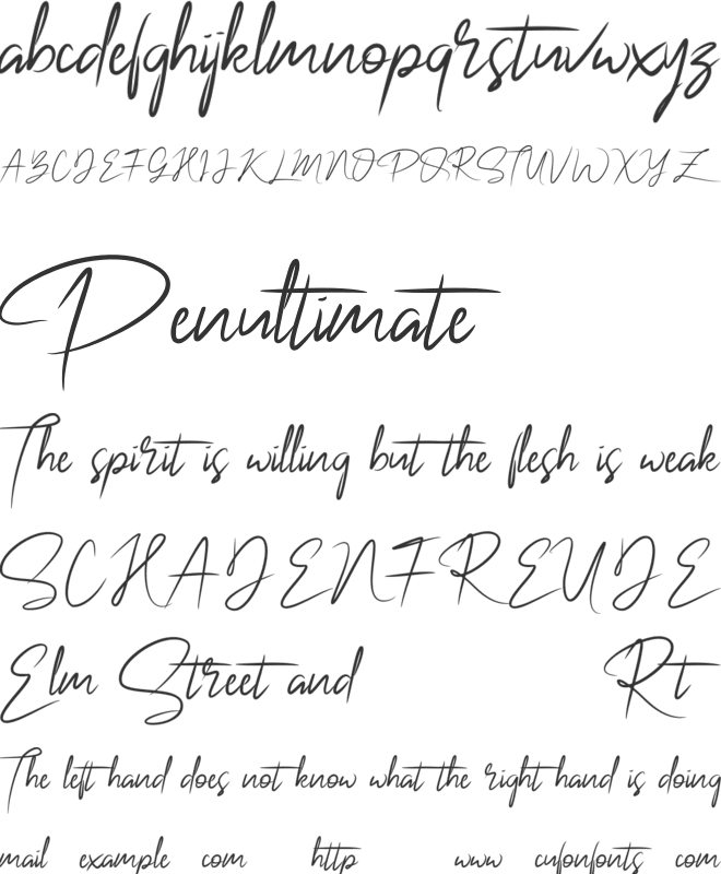 NalikaSignature font preview