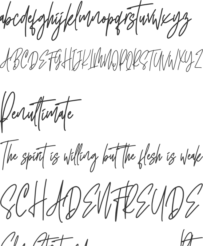 South Walles font preview