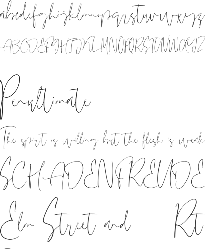 Hasting font preview