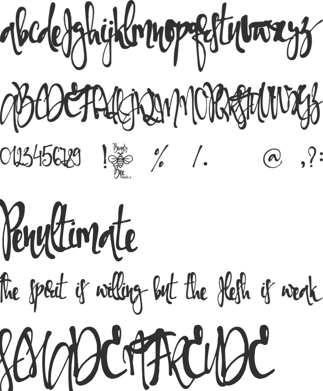 Beauty Bee font preview