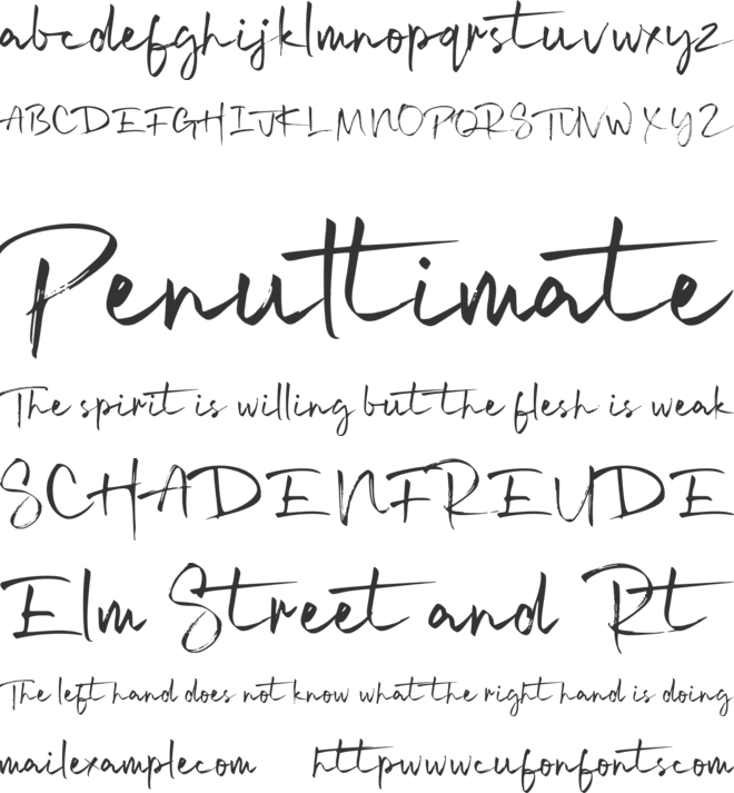 Signatime font preview