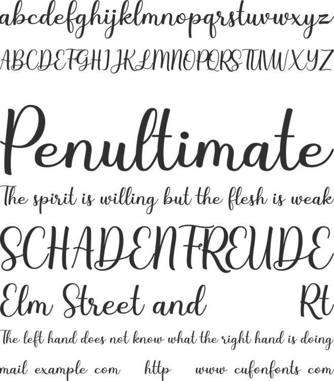 Steffany font preview