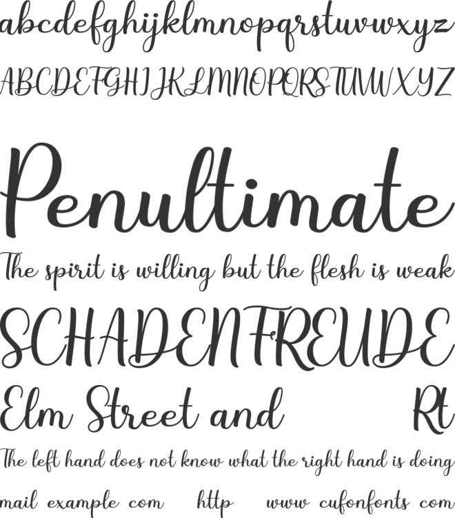 Steffany font preview